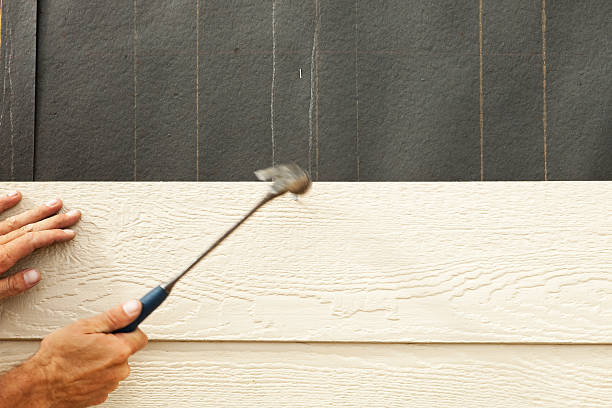 Best Siding Replacement  in Belington, WV